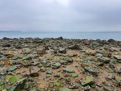 -海堤纪念公园