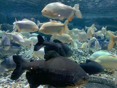 -成都浩海立方海洋公园