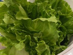 -同仁四季椰子鸡(福田东园总店)