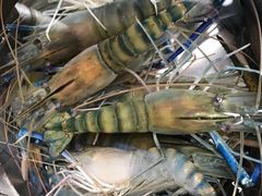-华威西营里农产品批发市场