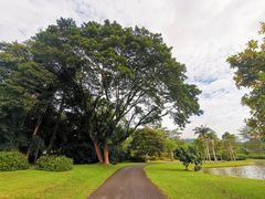 -中国科学院西双版纳热带植物园