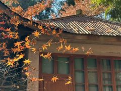 -莫干山风景区