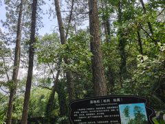 -福清灵石山国家森林公园