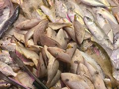 -老明馨潮汕大排档