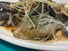 -大锅强·蒸海鲜青岛菜(金沙滩店)