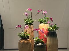 -西湖春天•老字号杭州菜(百汇店)