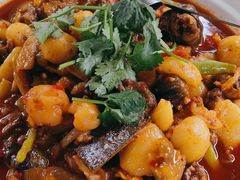 -高坎一品甲鱼庄(两河店)