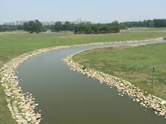 -北京麋鹿生态实验中心