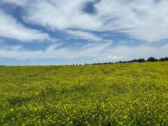 -扁都口生态休闲旅游区