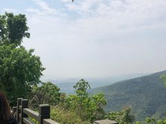 -铁山坪森林公园