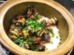 -红星光发煲仔饭(大石街店)