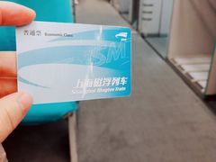 -龙阳路磁悬浮列车总站-停车场