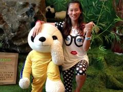 -济州岛泰迪熊博物馆