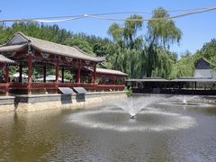 -尚庄度假村·庭台树下·户外烧烤·团建CS·轰趴营地(上庄水库店)