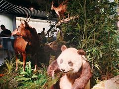 -四川大学博物馆