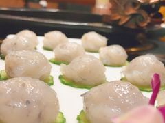 -杨家火锅(国美店)