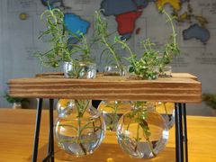 -ZING COFFEE 镜咖啡