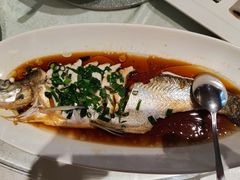 -金美华轩(东方路齐鲁店)