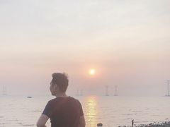 -宝安西湾红树林湿地公园