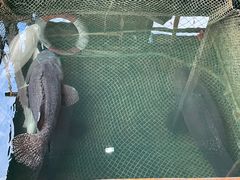 -蓝湾碧波·老字号·疍家非遗海上餐厅