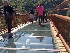 -少华山国家森林公园