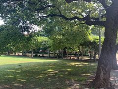-同济大学(沪西校区)