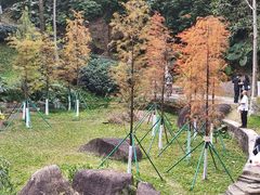 -火炉山森林公园