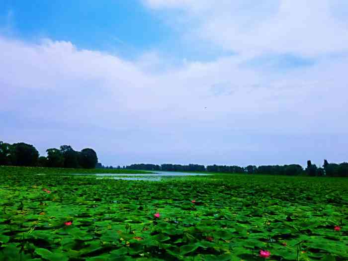 沈阳仙子湖-"**玛仙子湖,仙子去了不得给你填了?到."-大众点评移动版