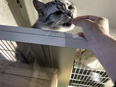 -平行世界·猫咖(首经贸店)
