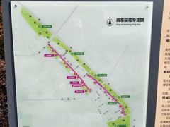 -高东镇樱花园