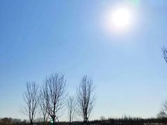 -东郊湿地公园