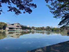 -江心屿景区
