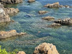 -大连老虎滩海洋公园