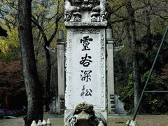 -灵谷景区