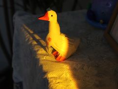 -橙呦·私人定制生日蛋糕