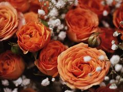 -循礼门鲜花花市(武汉循礼门店)