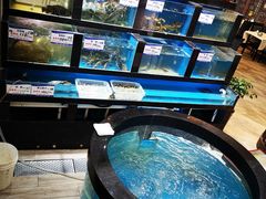 -聚鑫阁江浙菜·非遗传承技艺(青村帝华园店)