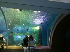 -成都浩海立方海洋公园