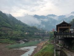 -焦滩大树下鱼头馆(焦滩店)