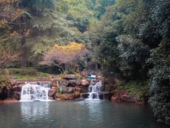 -兰溪地下长河