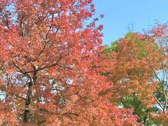 -西山人家·传统苏帮菜·家宴(木渎店)