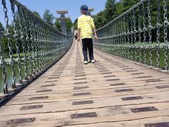 -东湖落雁景区