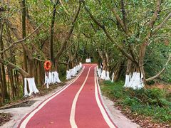 -番禺大夫山森林公园
