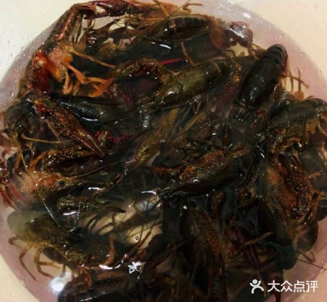 夏季宵夜都爱的麻辣小龙虾