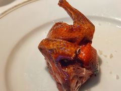 脆皮妙龄鸽-新荣记(建国门外大街店)