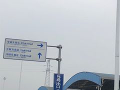 -双福水果批发市场