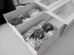 草莓魔法棒-奈雪的茶(skp店)