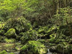 -夏霖九天银瀑风景区