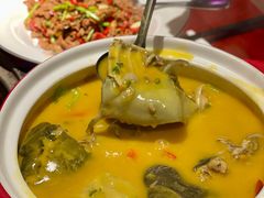 -潇湘甲鱼村(清河店)