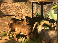 -昆明动物园